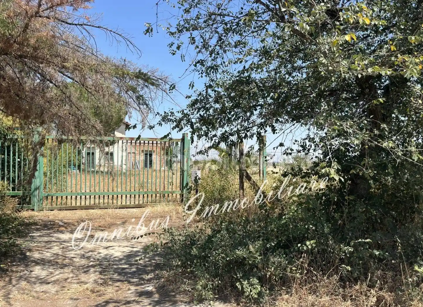 Rustico Strada Comunale Seggese-Borgo Cervaro, Salice Nuovo, Foggia - foto 5