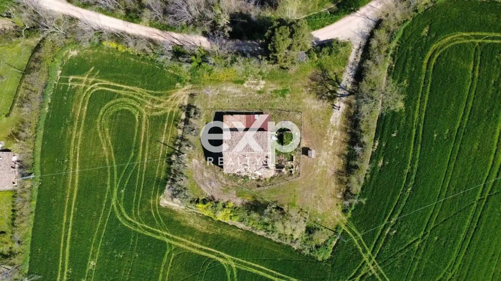 Rustico via San Filippo snc, Terre Roveresche - foto 2