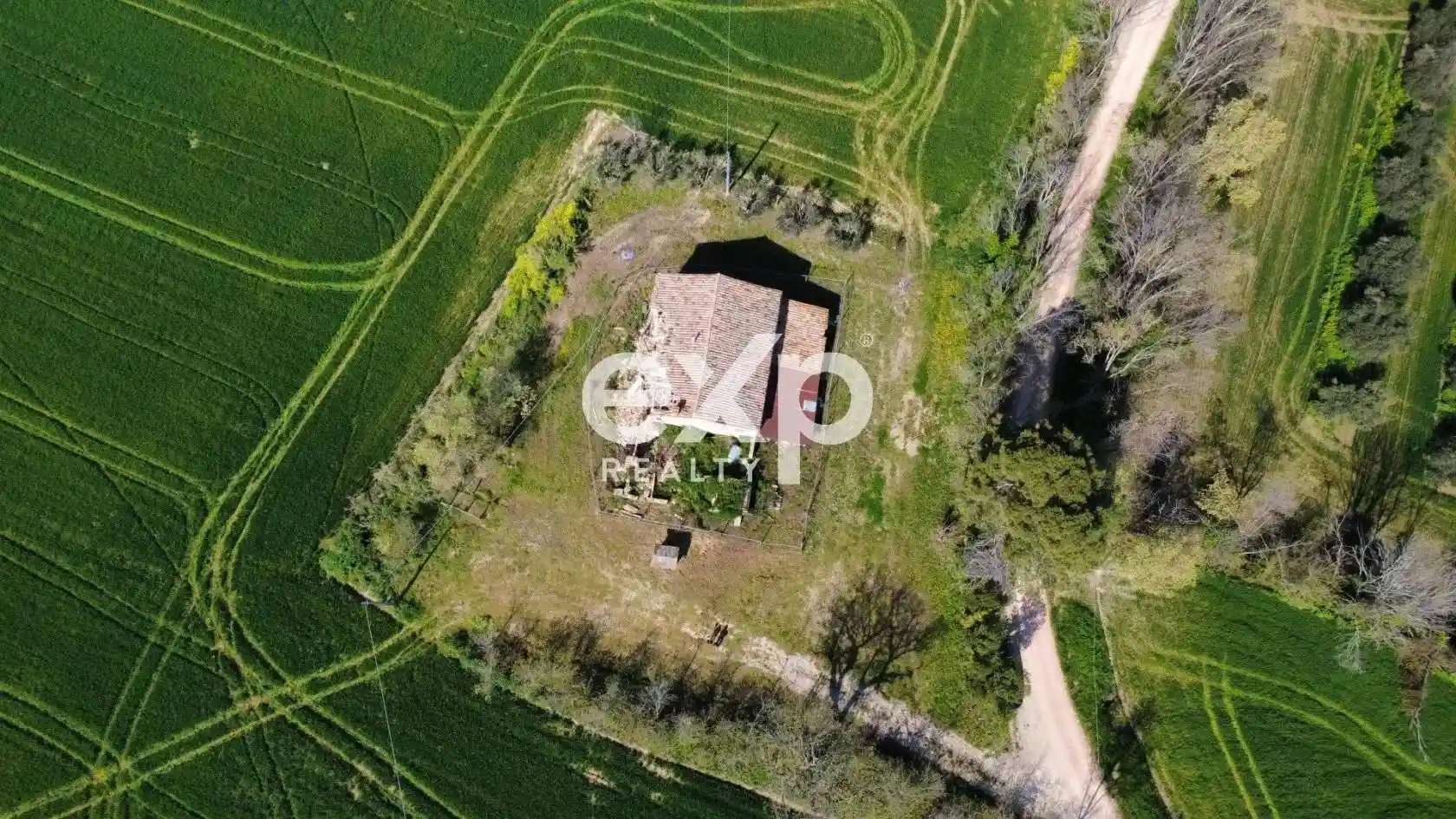 Rustico via San Filippo snc, Terre Roveresche - foto 5