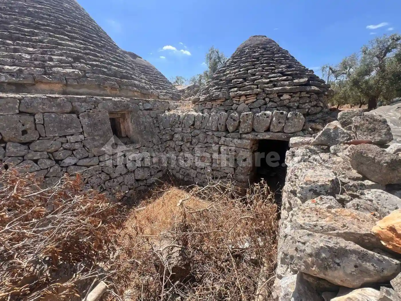 Rustico - Casale - foto 5