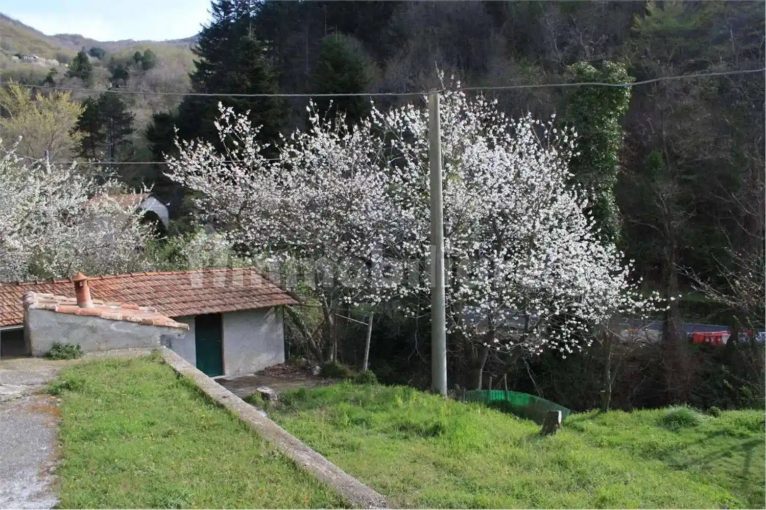 Palazzo - Edificio in Vendita - foto 4