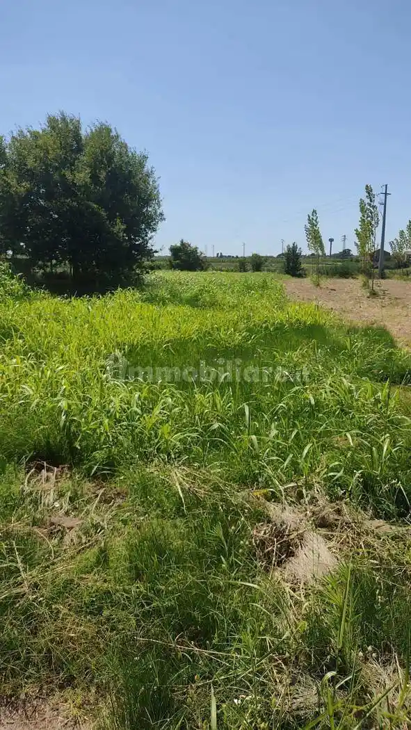 Terratetto unifamiliare CORBOLA via Nuova, 0, Corbola - foto 3