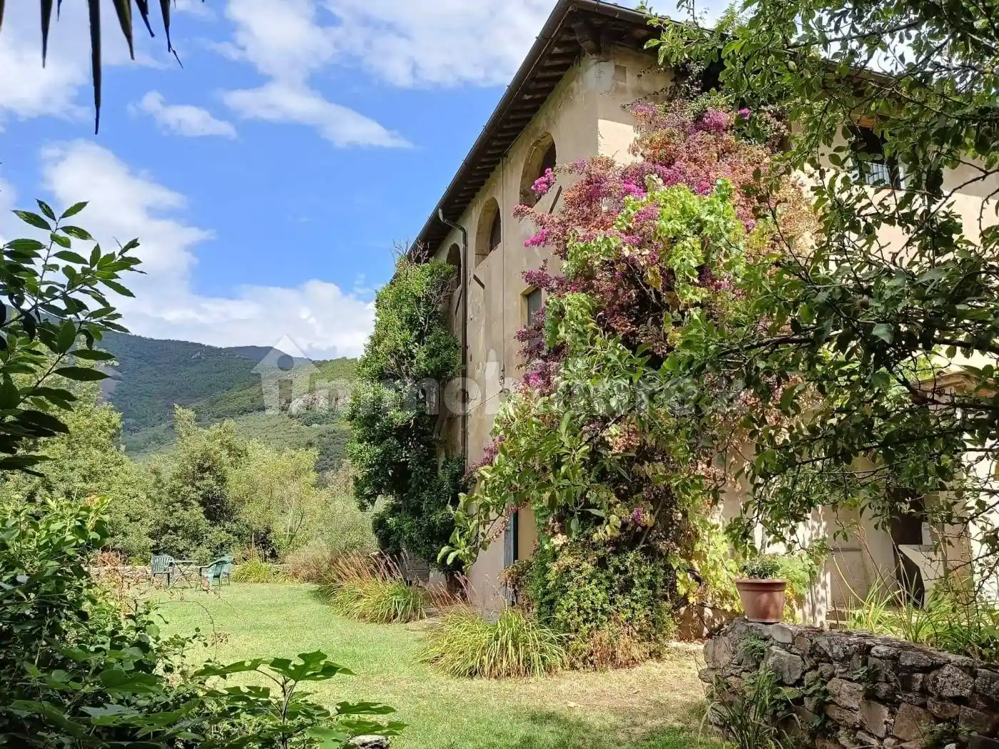 Rustico - Casale in vendita a Calci