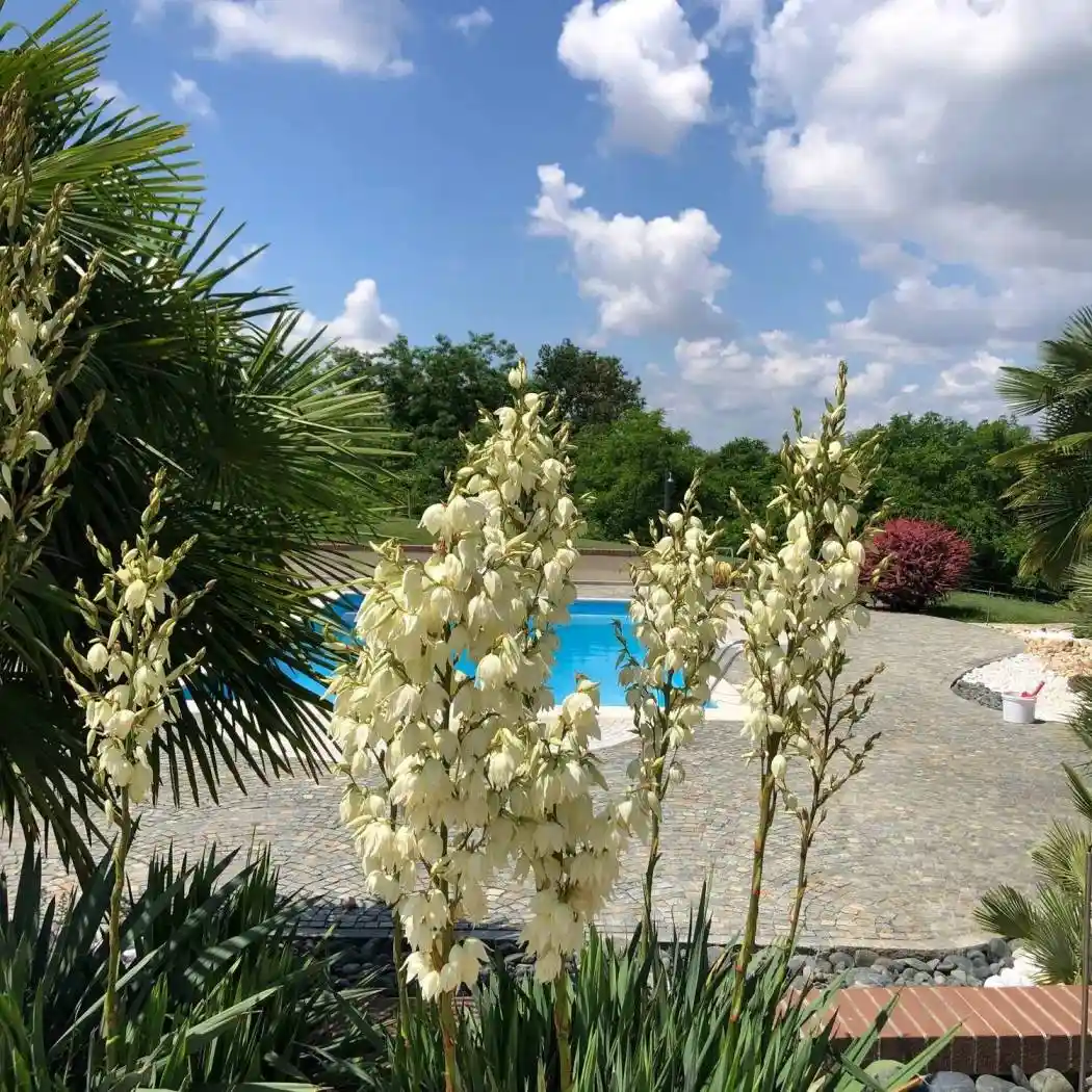 Villa unifamiliare Strada Vicinale San Martino Marrone 1, Castello di Annone - foto 5