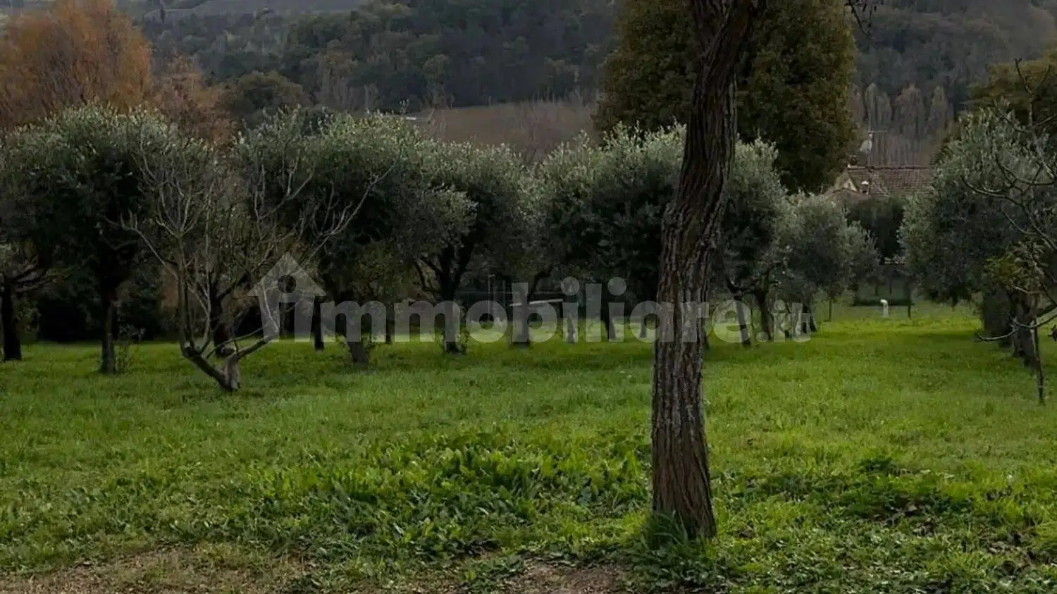 Villa in vendita a Pesaro