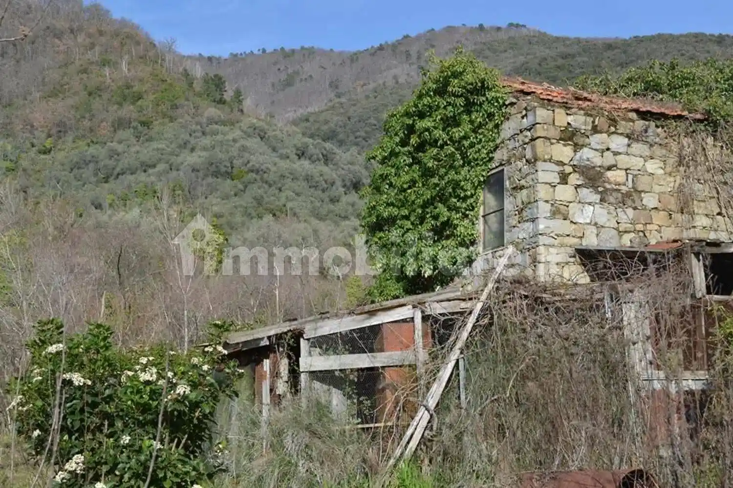 Rustico - Casale in vendita a Ceriana