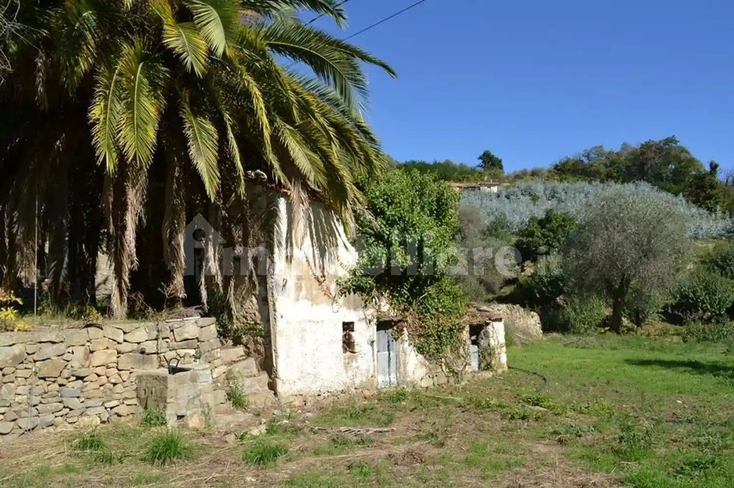Rustico - Casale in vendita a Ceriana