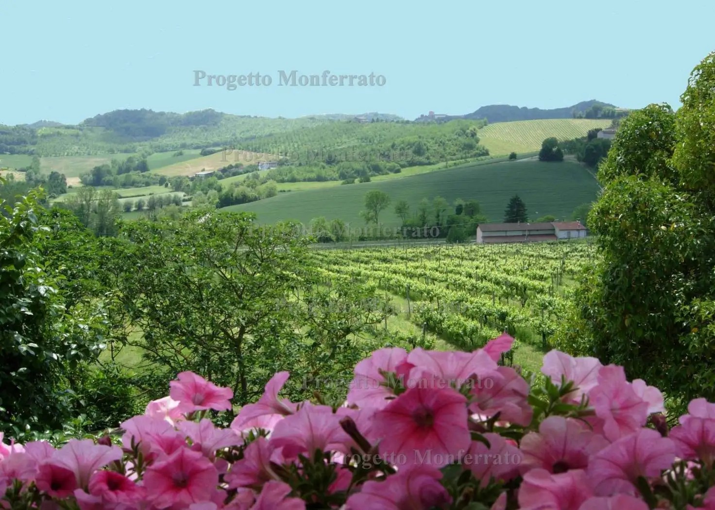 Casa indipendente in vendita a Ozzano Monferrato