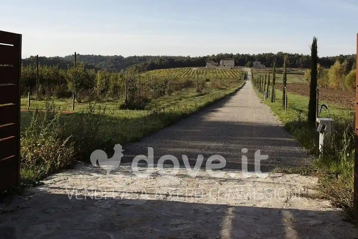 Rustico - Casale - foto 3