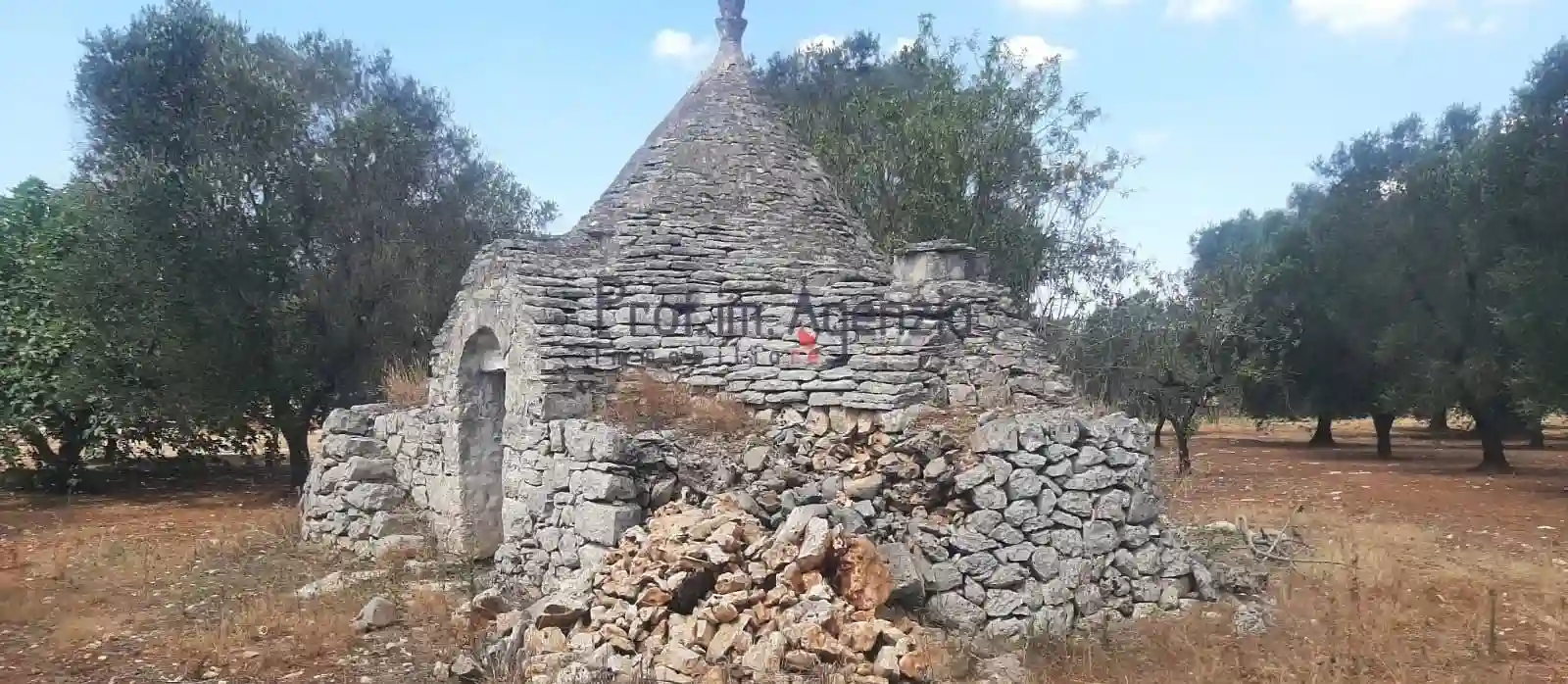 Rustico - Casale - foto 3