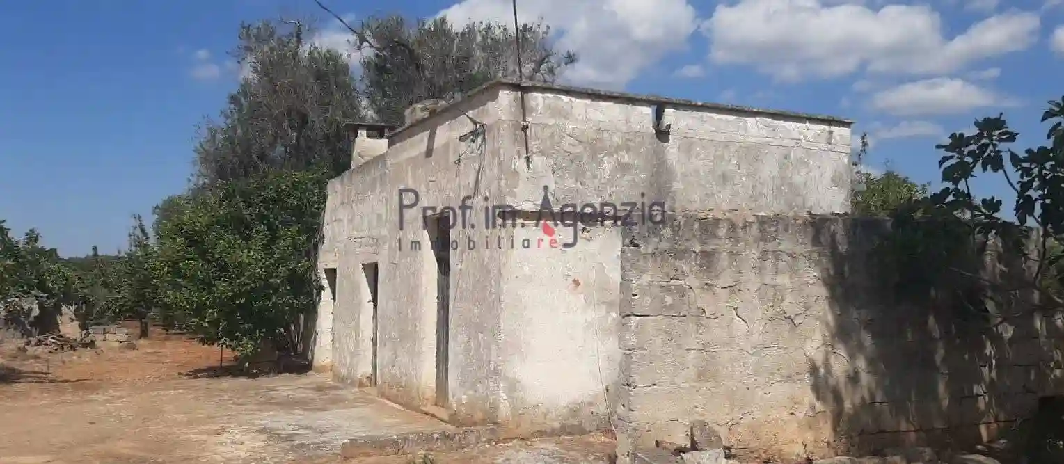 Rustico - Casale - foto 2