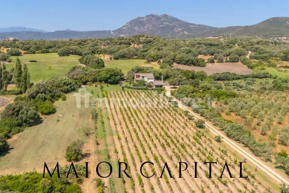 Villa unifamiliare San Vittore, Santa Mariedda, Olbia - foto 5