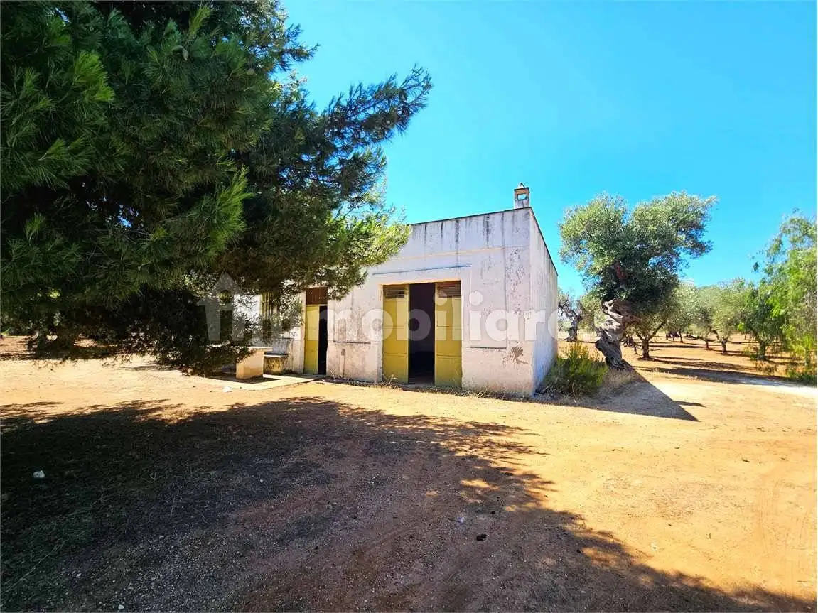 Rustico - Casale in vendita a Ostuni