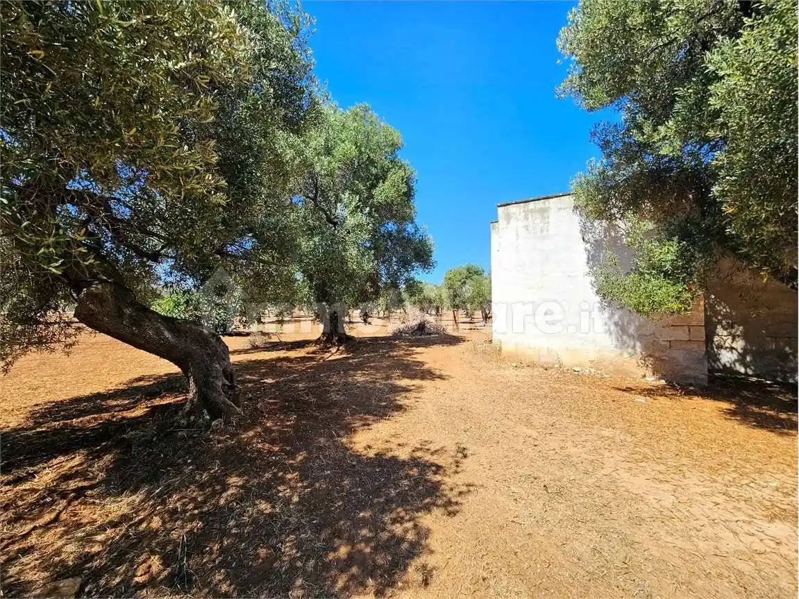 Rustico, da ristrutturare, 105 m², Tamburroni, Grottone, Rosara, Ostuni - foto 5