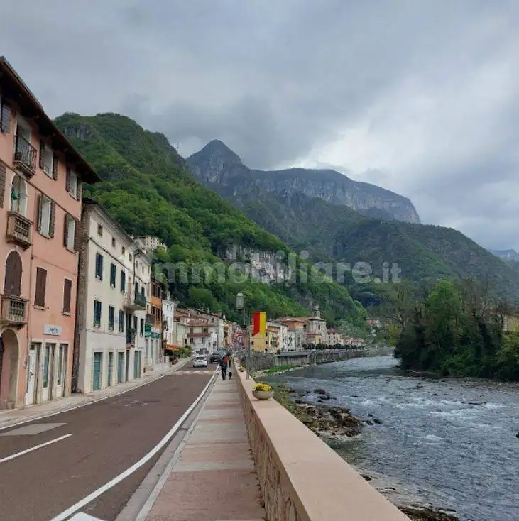 Appartamento in vendita a Valbrenta