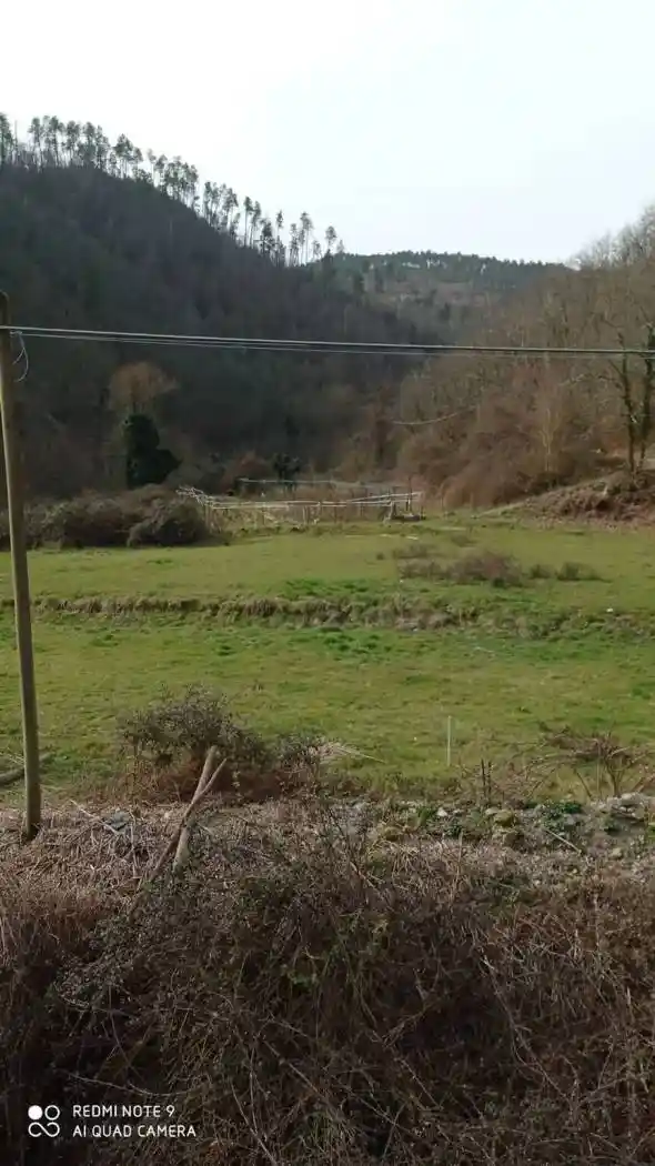 Villa unifamiliare Pogliasca, Borghetto di Vara - foto 3