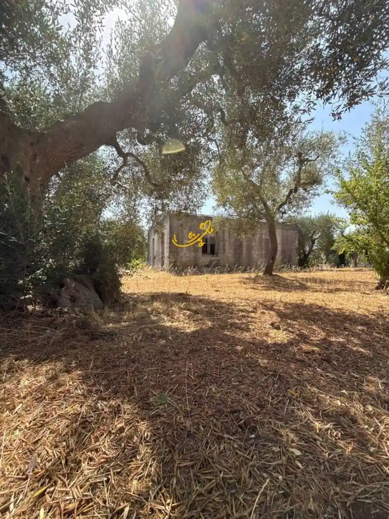 Rustico - Casale in vendita a Monopoli