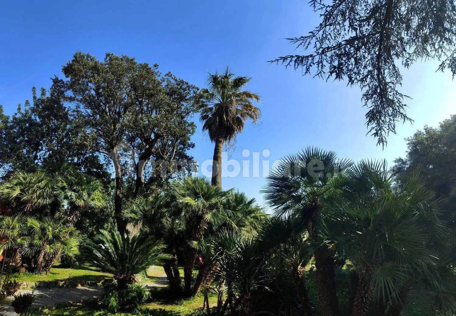 Appartamento in affitto a Savona