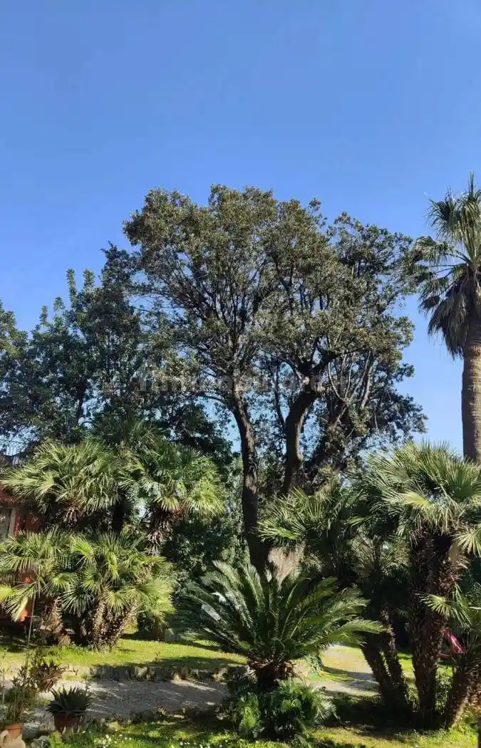 Bilocale via Pietragrossa, Legino, Zinola, Fornaci, Savona - foto 3