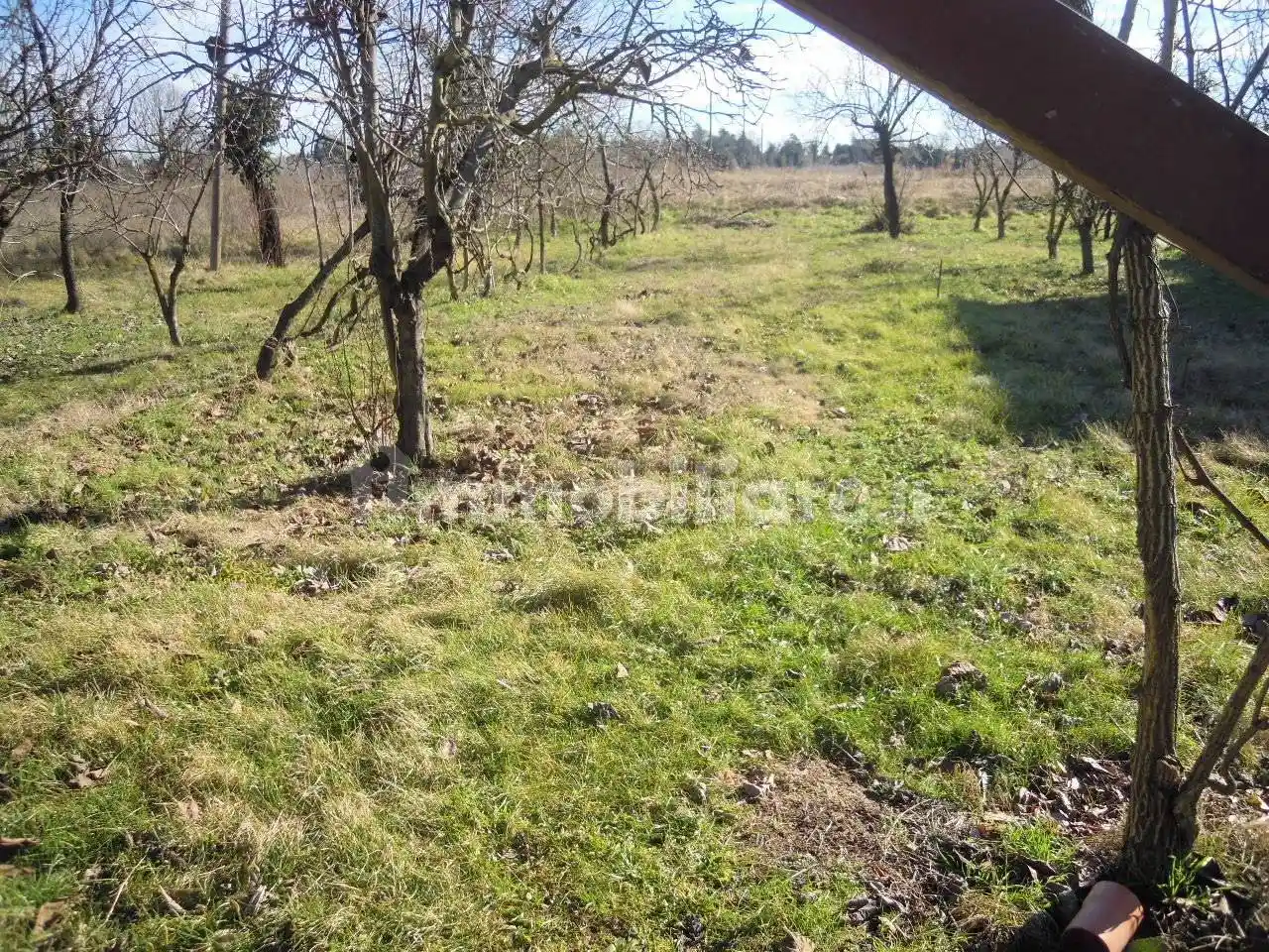 Villa unifamiliare, da ristrutturare, 200 m², Vecchiazzano - Ospedale, Forlì - foto 4