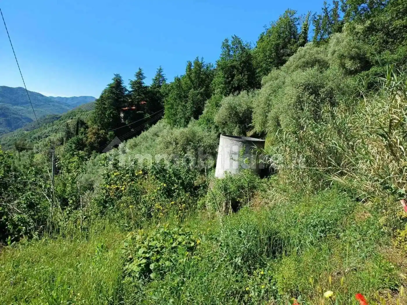 Rustico - Casale in vendita a Apricale