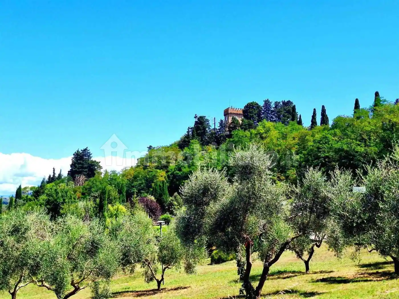 Casa indipendente in vendita a Montespertoli