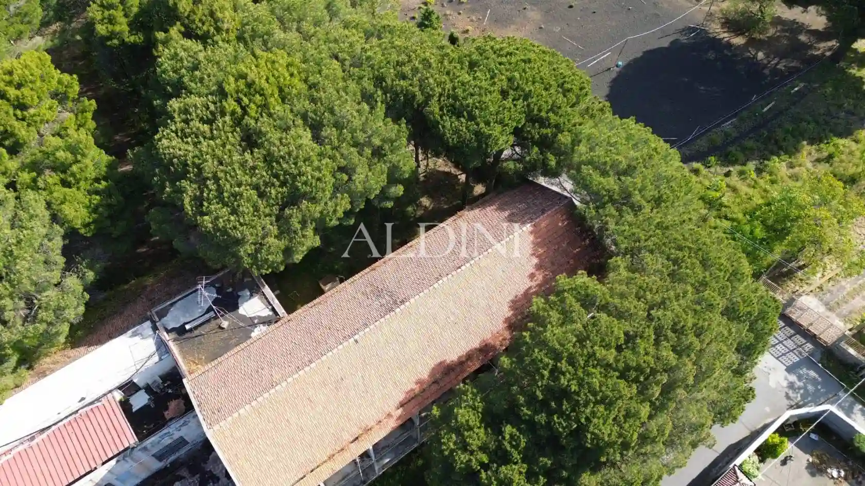 Palazzo - Edificio - foto 3