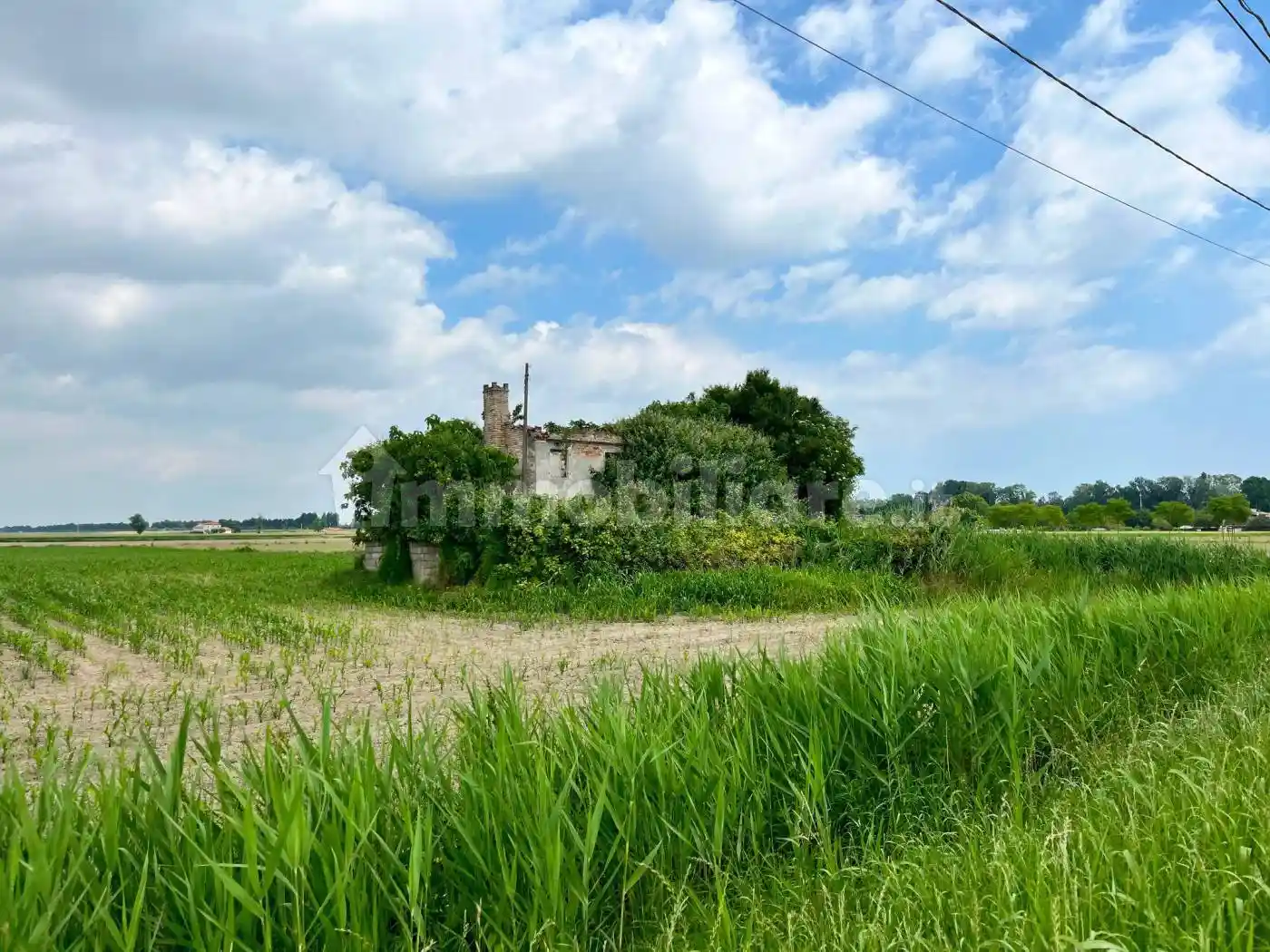 Rustico - Casale in vendita a Codevigo