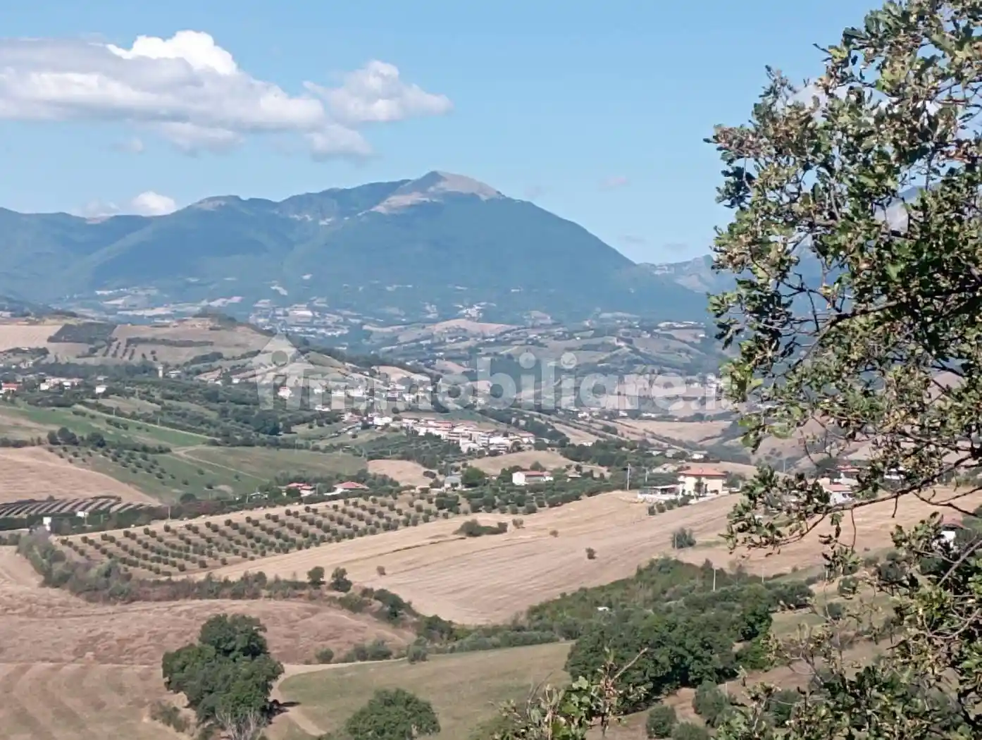Terratetto plurifamiliare via Marche, Centro, Bellante - foto 3
