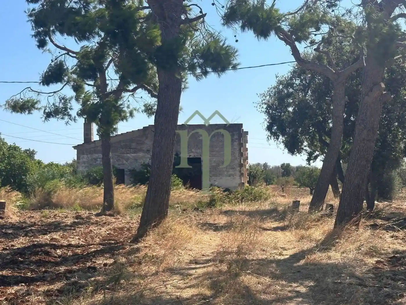 Rustico - Casale in vendita a Carovigno