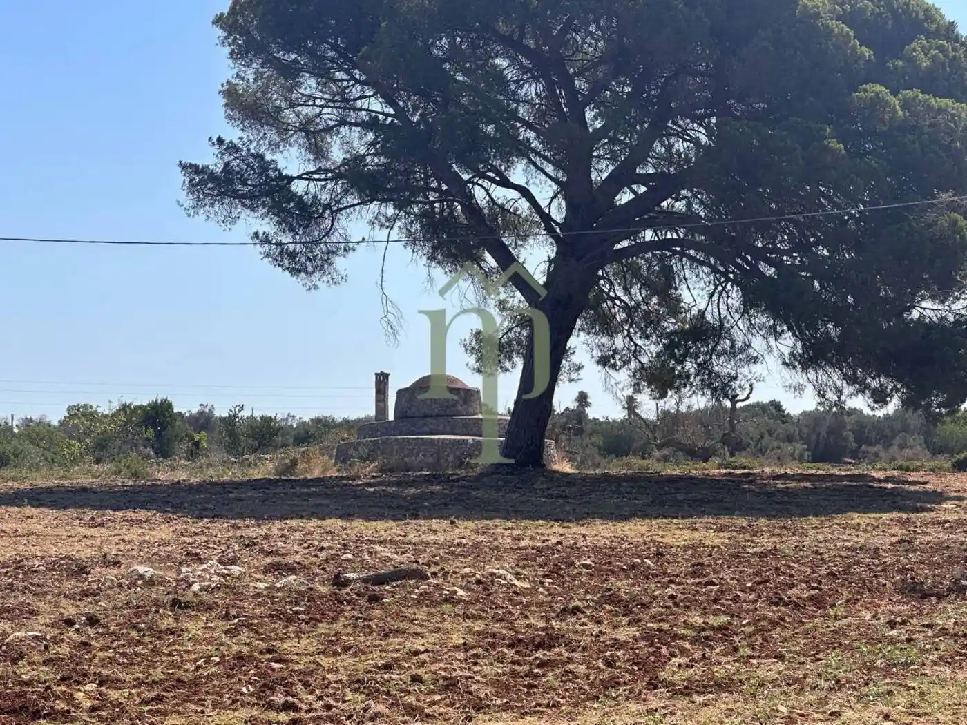 Rustico - Casale in vendita a Carovigno