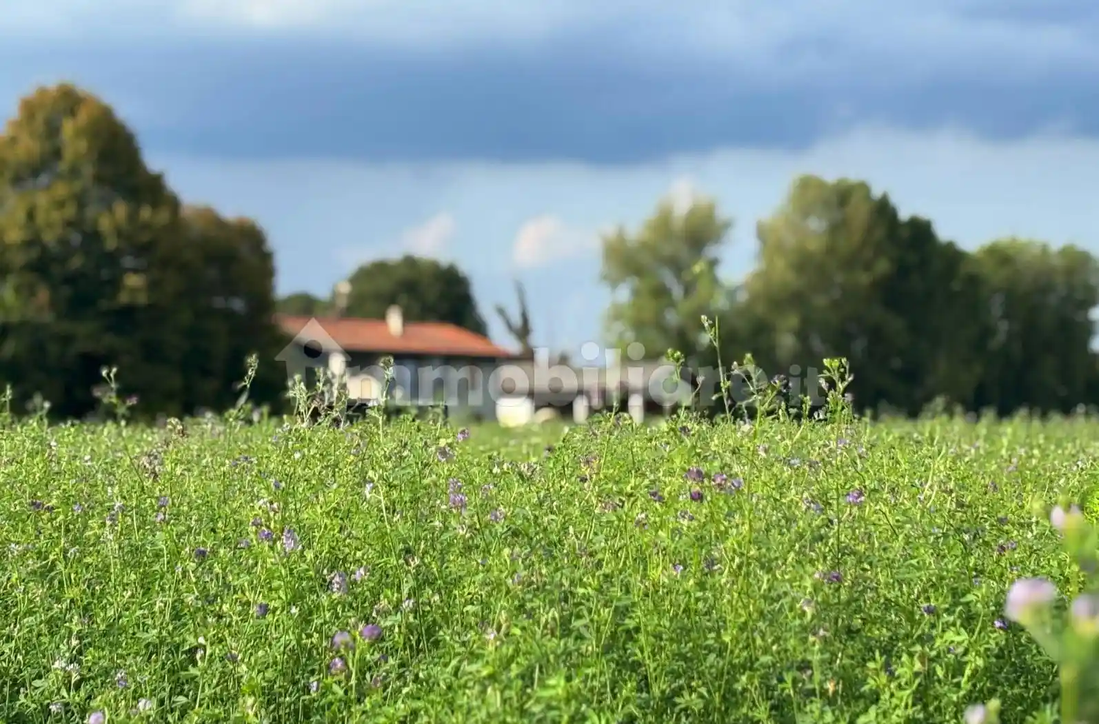Rustico - Casale in vendita a Bareggio