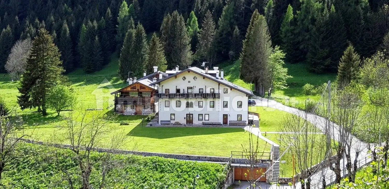 Appartamento in affitto a Val di Zoldo