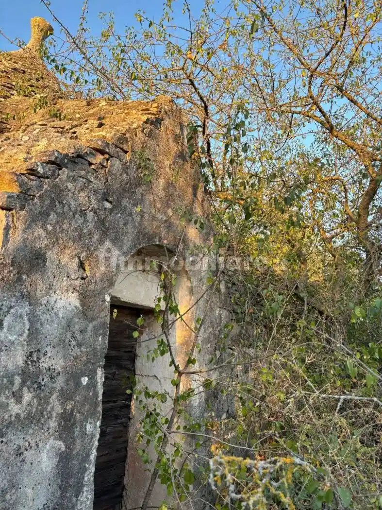 Rustico - Casale in vendita a Putignano