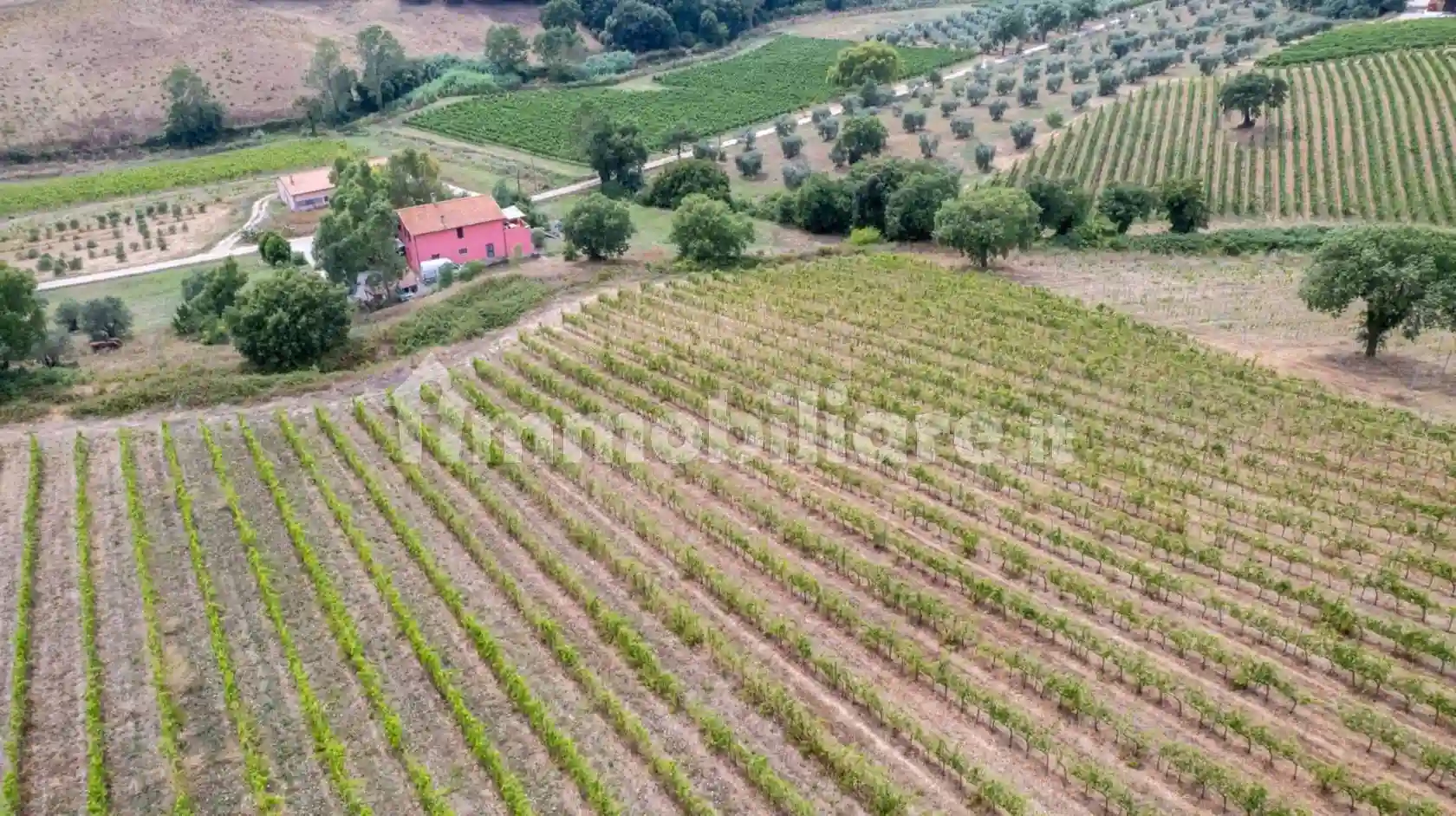 Rustico - Casale - foto 4