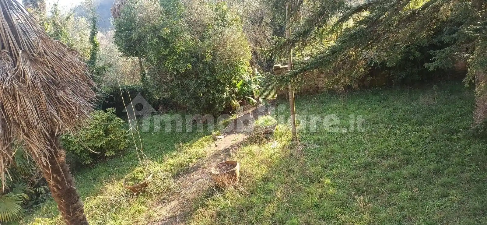 Rustico via  torre, Mutigliano - Torre, Lucca - foto 3