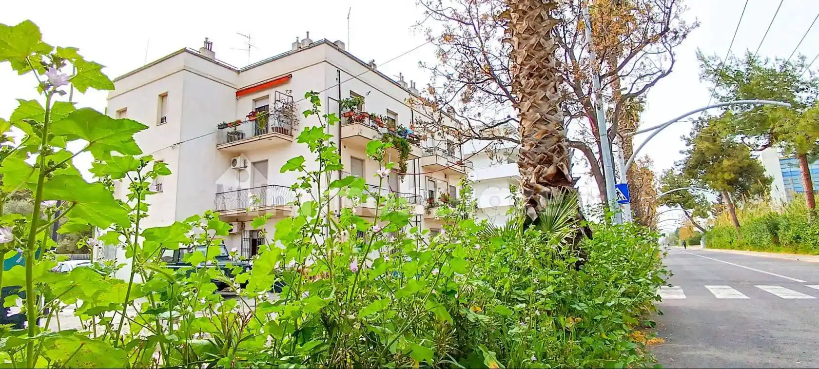 Appartamento in affitto a Pescara