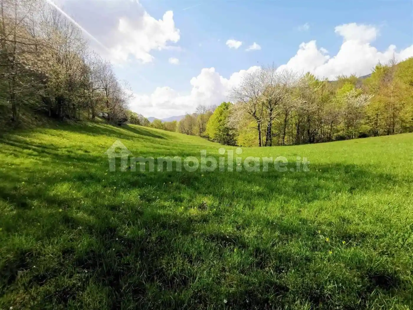 Rustico 100 m², Fiumalbo - foto 3