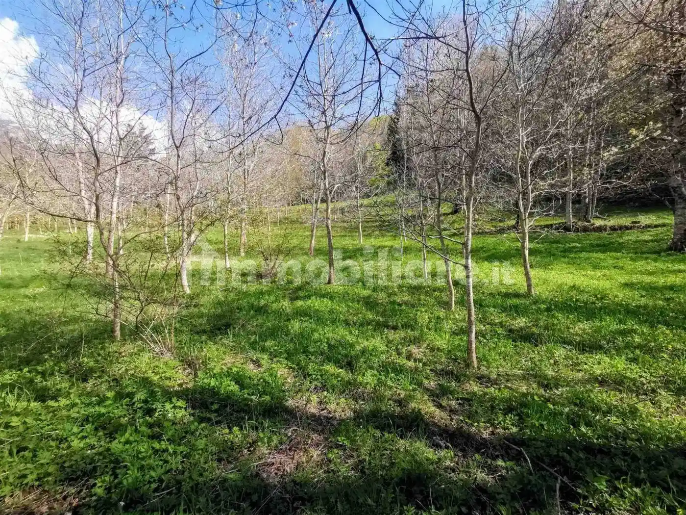 Rustico 100 m², Fiumalbo - foto 4