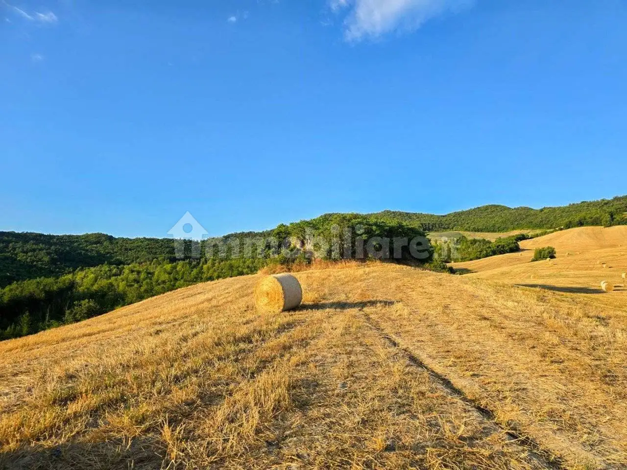 Rustico Colcello dei Mochi, Belforte all'Isauro - foto 4