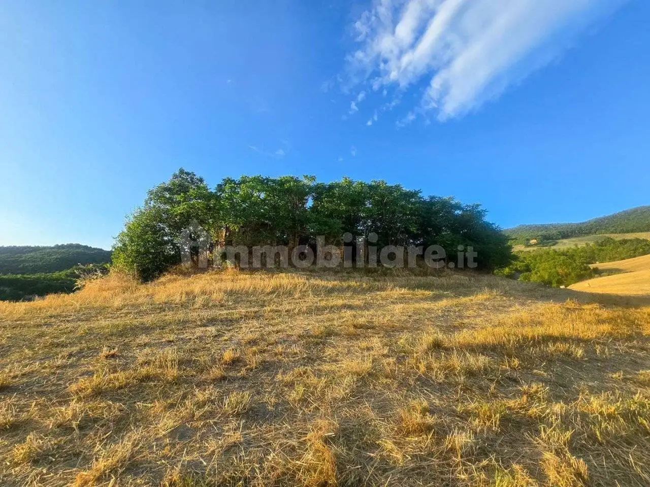 Rustico Colcello dei Mochi, Belforte all'Isauro - foto 5