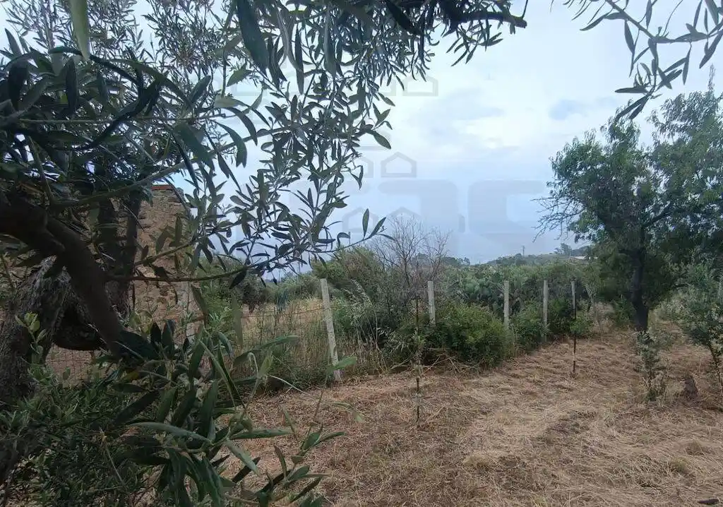 Rustico - Casale in vendita a Messina