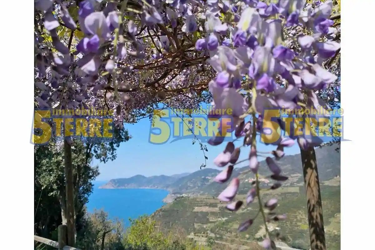 Rustico - Casale in vendita a Riomaggiore