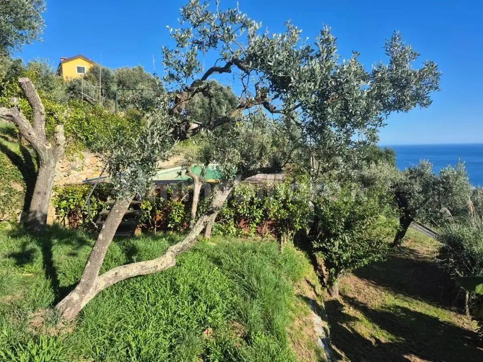 Rustico - Casale in vendita a Varazze