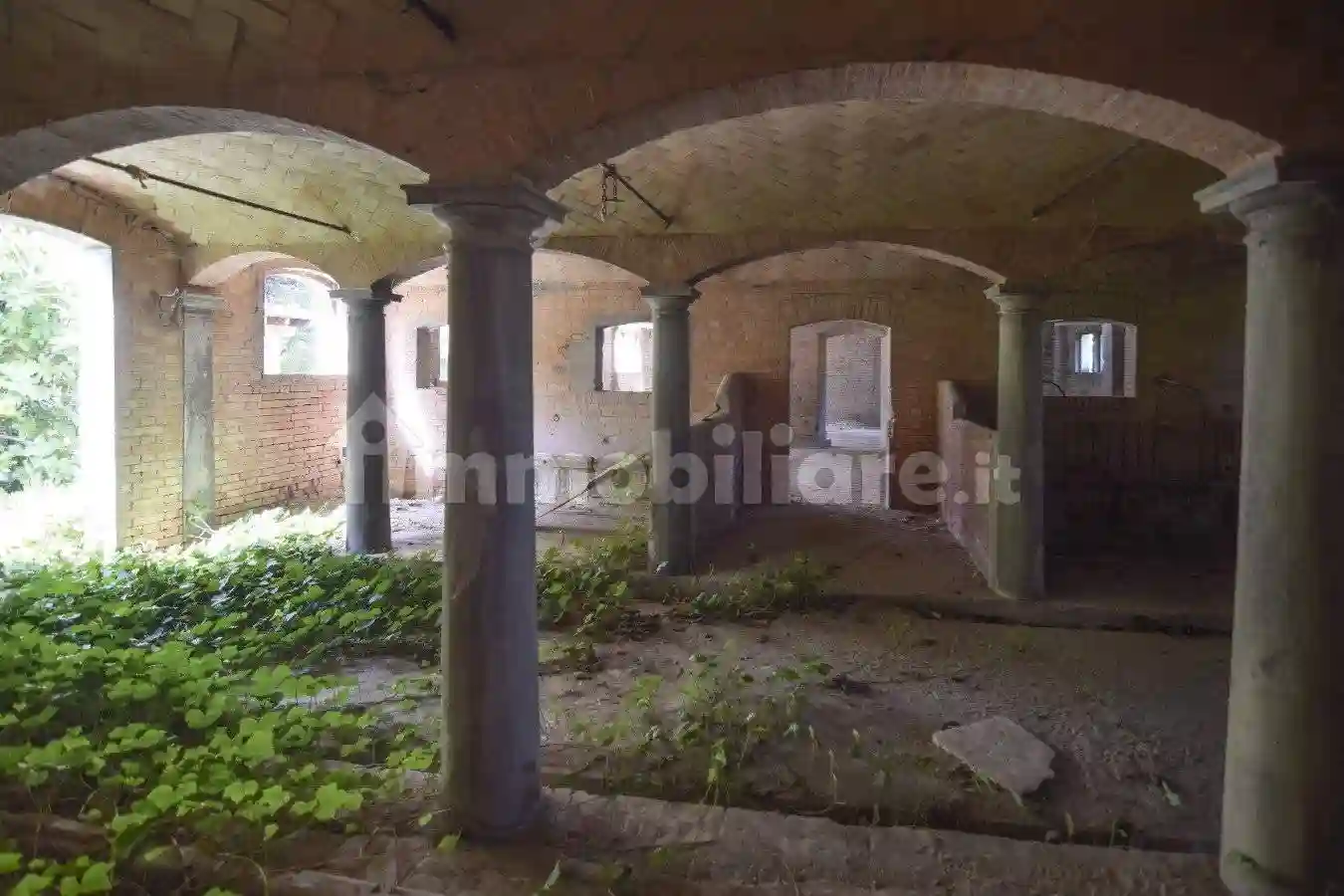 Rustico - Casale - foto 5