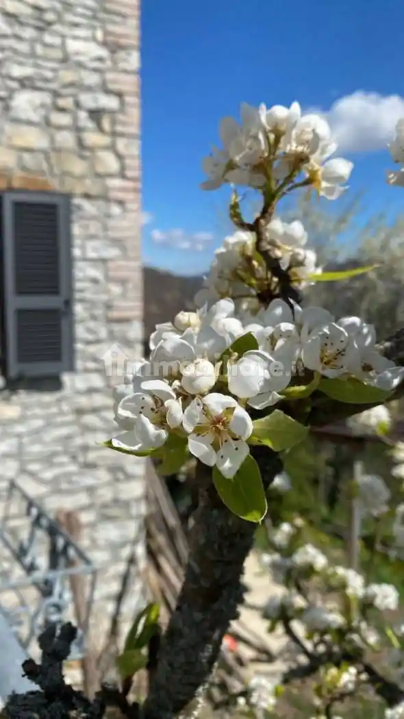 Sasso Località Ceno, Farini - foto 5