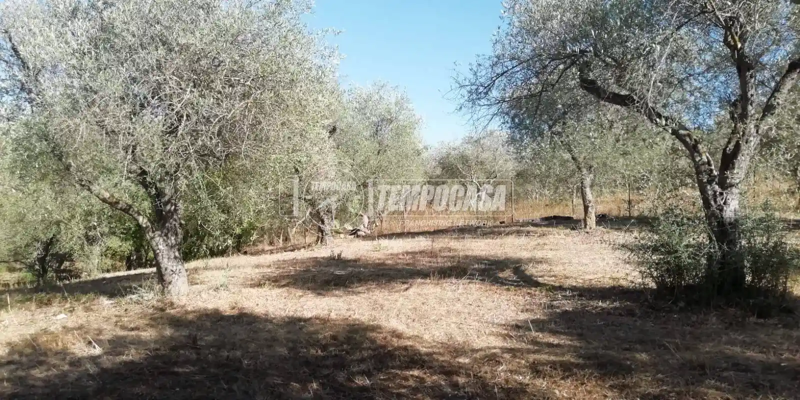 Rustico Strada Vicinale Segasidda Minori, Buddi Buddi, Sassari - foto 5