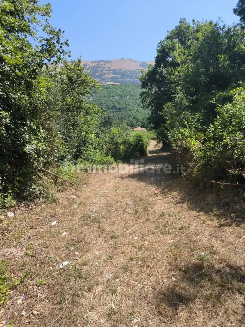 Palazzo - Edificio in Vendita - foto 3