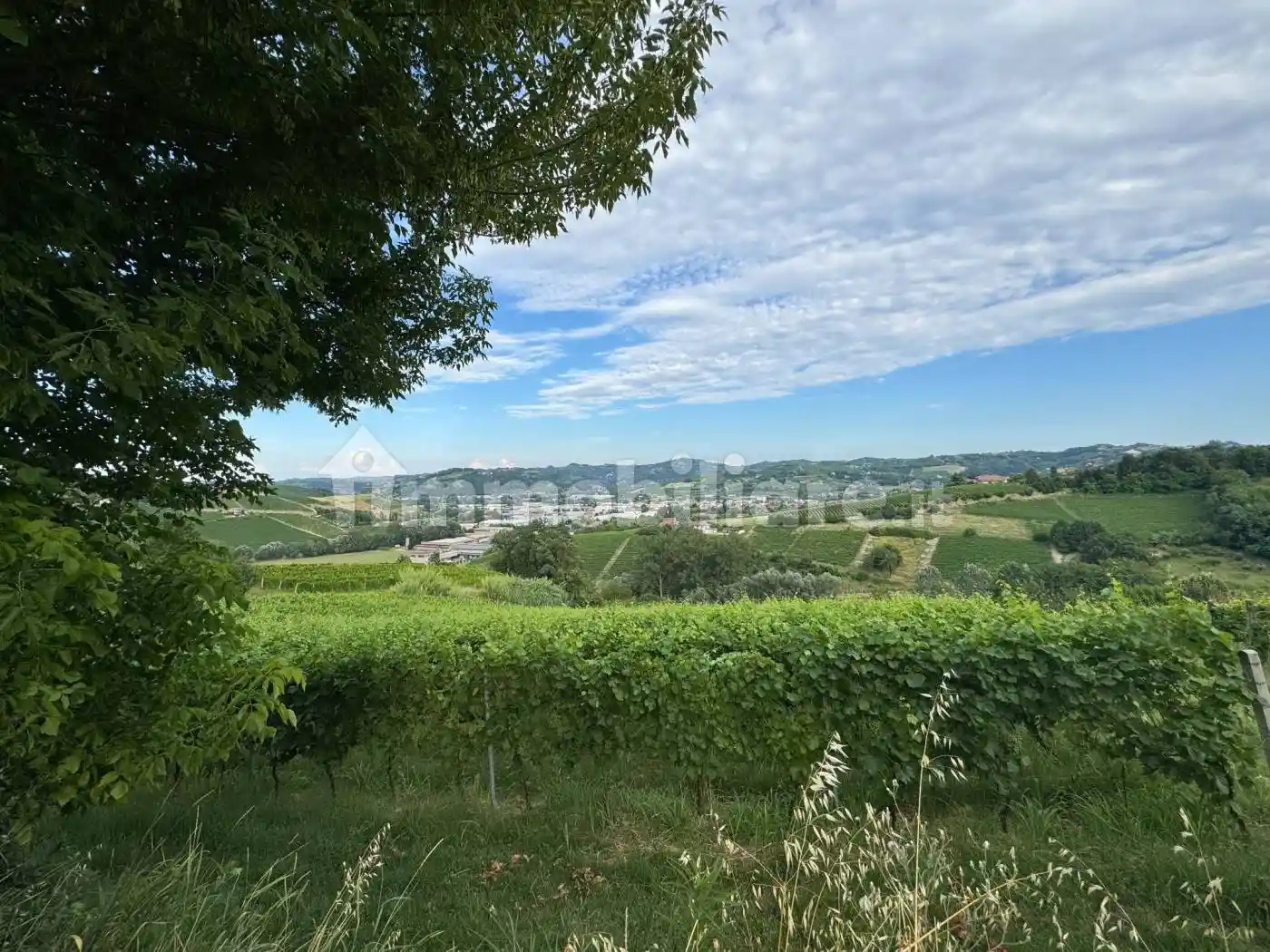 Rustico - Casale in vendita a Canelli