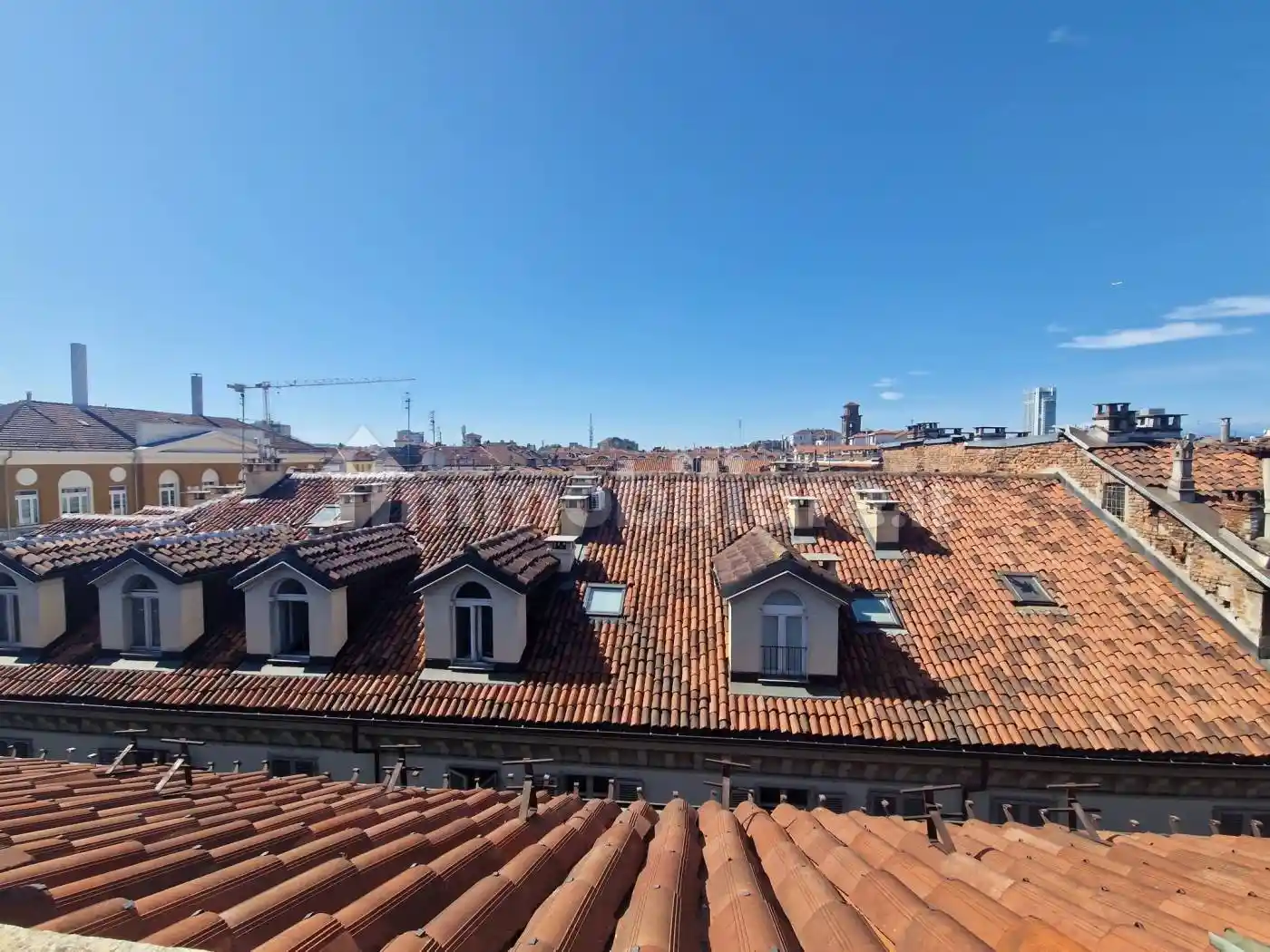 Appartamento in affitto a Torino